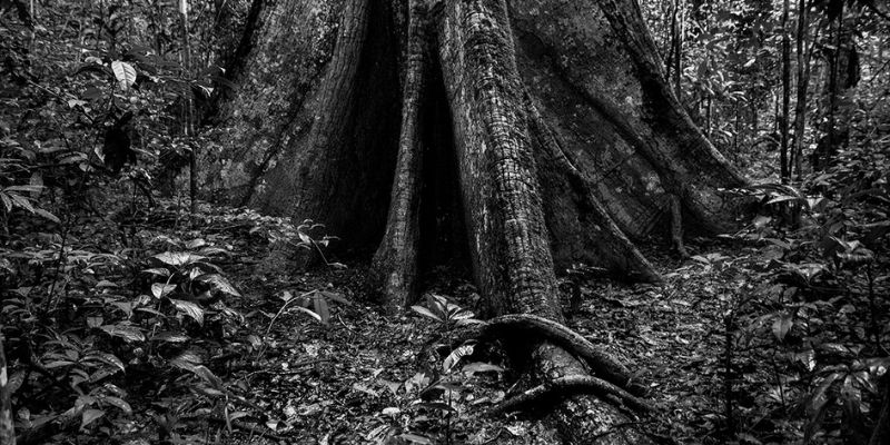 banner programação