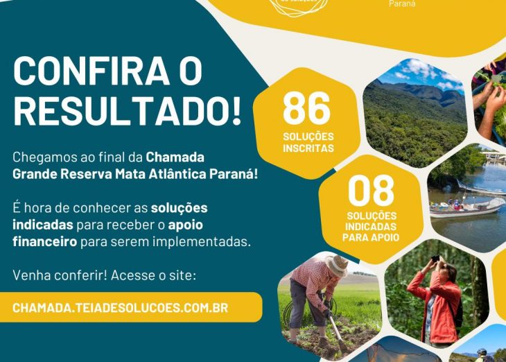 Com apoio do Estado, oito soluções para a Mata Atlântica receberão R$ 2,9 milhões