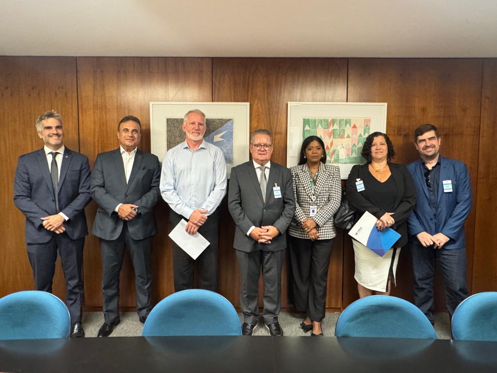 Representantes do BRDE, BDMG, BANDES, ABDE e Banco Central posam para foto em frente a uma parede de madeira com dois quadros.