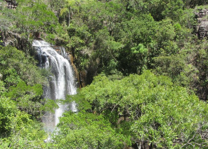 Estado divulga relação final de reservas naturais do edital de créditos de biodiversidade