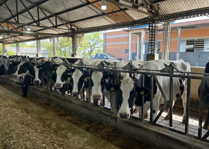 Mais de R$4,5 milhões são movimentados no primeiro dia de operações do Pronampe Leite BRDE SC